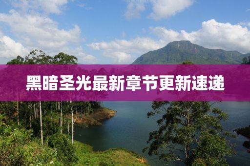 黑暗圣光最新章节更新速递