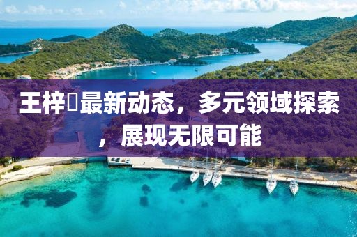 王梓芠最新动态，多元领域探索，展现无限可能
