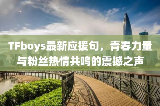TFboys最新应援句，青春力量与粉丝热情共鸣的震撼之声