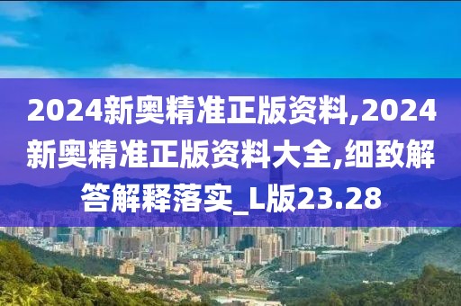 2024新奥精准正版资料,2024新奥精准正版资料大全,细致解答解释落实_L版23.28
