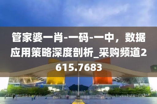 管家婆一肖-一码-一中，数据应用策略深度剖析_采购频道2615.7683