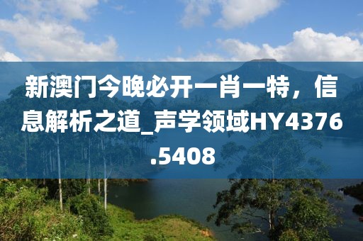 新澳门今晚必开一肖一特，信息解析之道_声学领域HY4376.5408