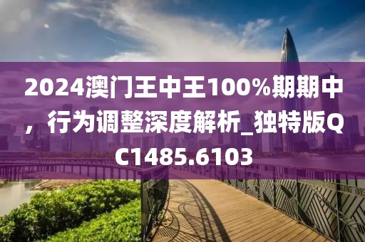 2024澳门王中王100%期期中，行为调整深度解析_独特版QC1485.6103