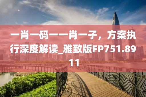 一肖一码一一肖一子，方案执行深度解读_雅致版FP751.8911