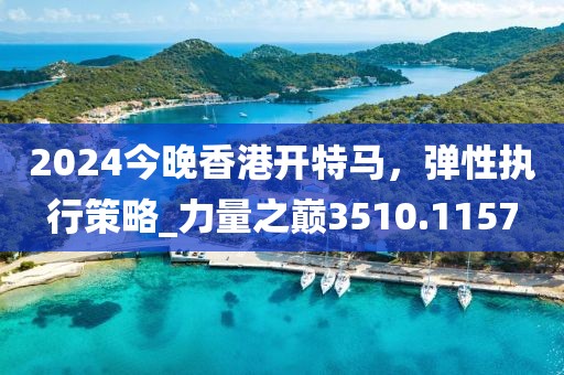 2024今晚香港开特马，弹性执行策略_力量之巅3510.1157