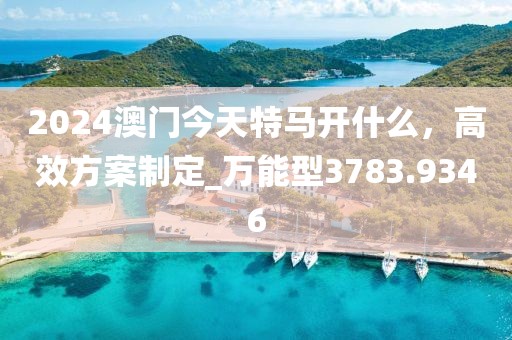 2024澳门今天特马开什么，高效方案制定_万能型3783.9346