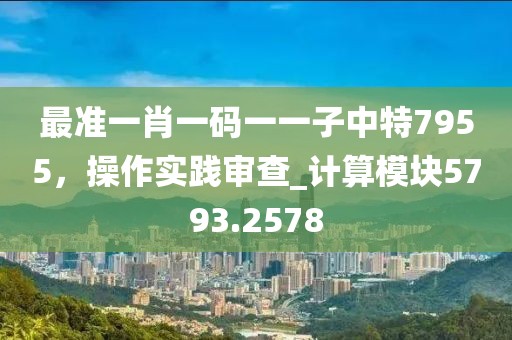最准一肖一码一一子中特7955，操作实践审查_计算模块5793.2578