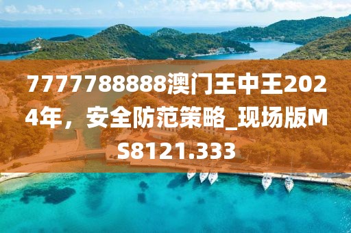 7777788888澳门王中王2024年，安全防范策略_现场版MS8121.333
