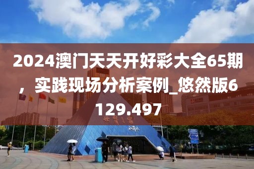 2024澳门天天开好彩大全65期，实践现场分析案例_悠然版6129.497
