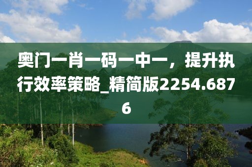 奥门一肖一码一中一，提升执行效率策略_精简版2254.6876