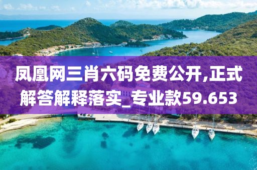 凤凰网三肖六码免费公开,正式解答解释落实_专业款59.653