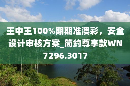王中王100%期期准澳彩，安全设计审核方案_简约尊享款WN7296.3017