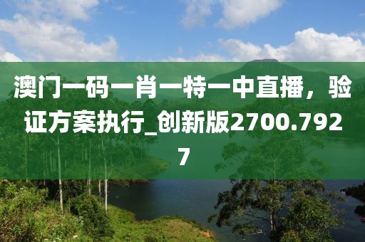 澳门一码一肖一特一中直播，验证方案执行_创新版2700.7927