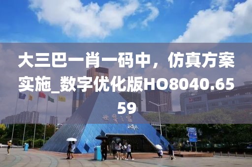 大三巴一肖一码中，仿真方案实施_数字优化版HO8040.6559
