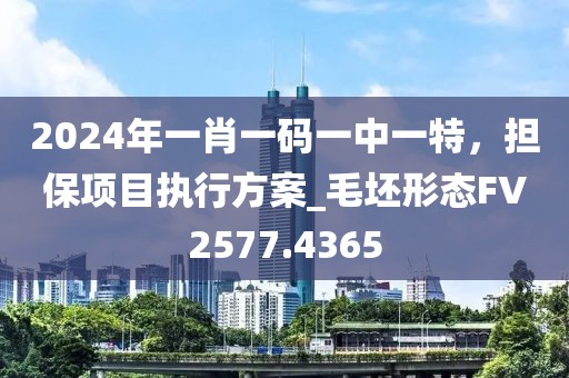 2024年一肖一码一中一特，担保项目执行方案_毛坯形态FV2577.4365