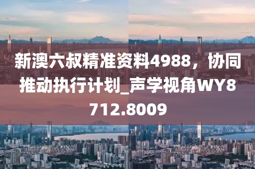 新澳六叔精准资料4988，协同推动执行计划_声学视角WY8712.8009
