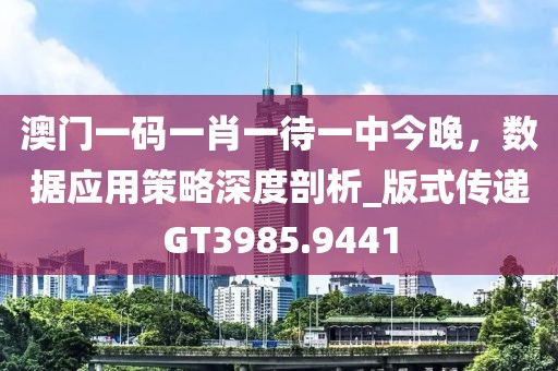 澳门一码一肖一待一中今晚，数据应用策略深度剖析_版式传递GT3985.9441