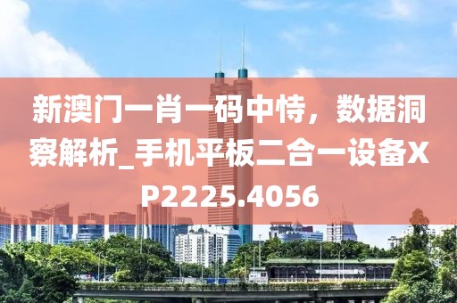 新澳门一肖一码中恃，数据洞察解析_手机平板二合一设备XP2225.4056