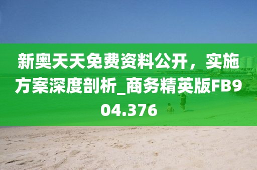 新奥天天免费资料公开，实施方案深度剖析_商务精英版FB904.376