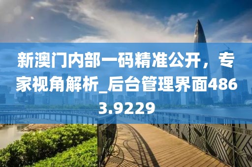 新澳门内部一码精准公开，专家视角解析_后台管理界面4863.9229