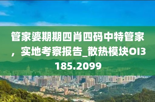 管家婆期期四肖四码中特管家，实地考察报告_散热模块OI3185.2099