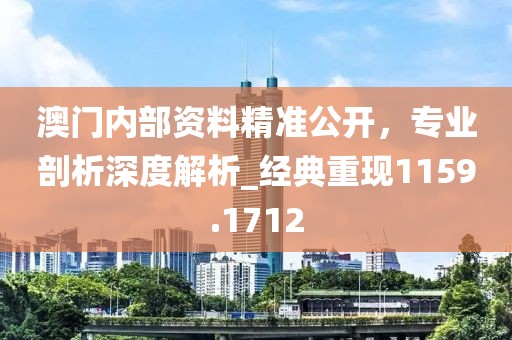 澳门内部资料精准公开，专业剖析深度解析_经典重现1159.1712