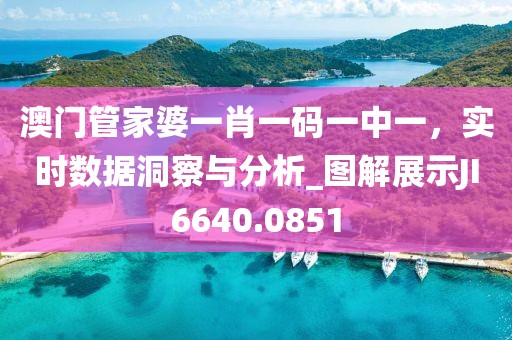 澳门管家婆一肖一码一中一，实时数据洞察与分析_图解展示JI6640.0851