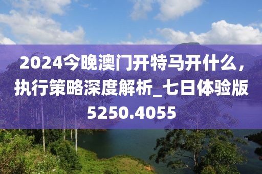 2024今晚澳门开特马开什么，执行策略深度解析_七日体验版5250.4055