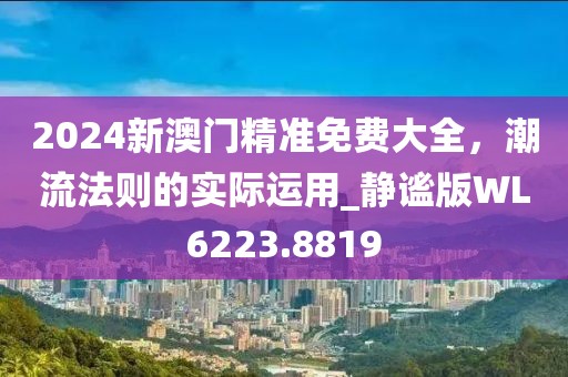 2024新澳门精准免费大全，潮流法则的实际运用_静谧版WL6223.8819