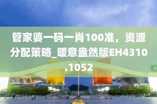 管家婆一码一肖100准，资源分配策略_暖意盎然版EH4310.1052