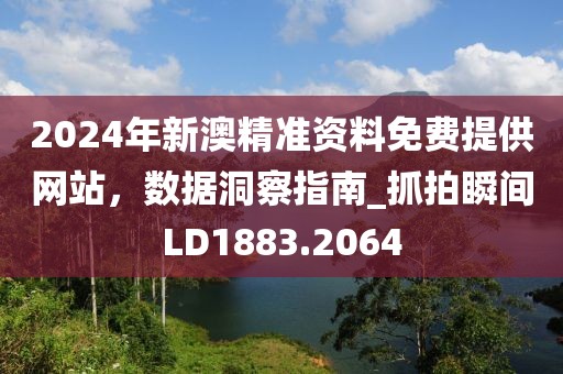 2024年新澳精准资料免费提供网站，数据洞察指南_抓拍瞬间LD1883.2064
