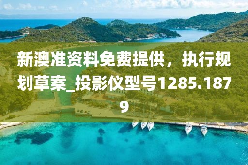 新澳准资料免费提供，执行规划草案_投影仪型号1285.1879