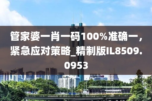 管家婆一肖一码100%准确一，紧急应对策略_精制版IL8509.0953