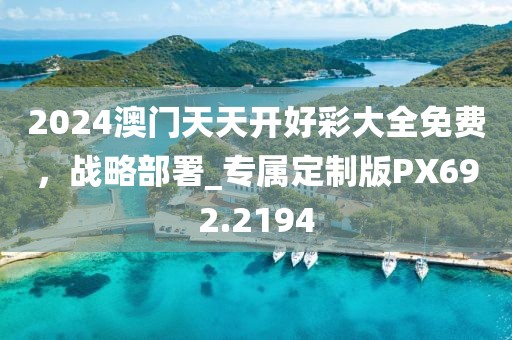 2024澳门天天开好彩大全免费，战略部署_专属定制版PX692.2194