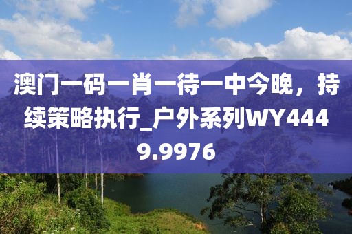 澳门一码一肖一待一中今晚，持续策略执行_户外系列WY4449.9976