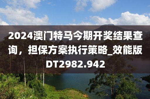 2024澳门特马今期开奖结果查询，担保方案执行策略_效能版DT2982.942