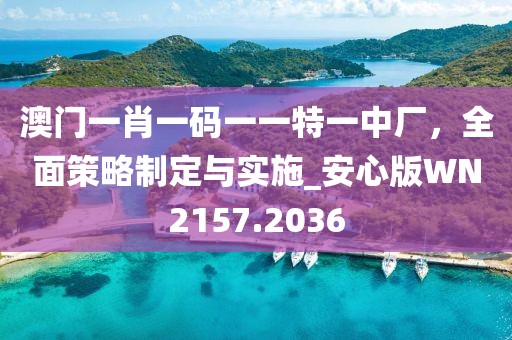 澳门一肖一码一一特一中厂，全面策略制定与实施_安心版WN2157.2036