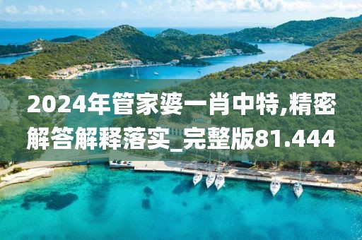 2024年管家婆一肖中特,精密解答解释落实_完整版81.444