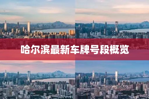 哈尔滨最新车牌号段概览