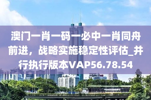 澳门一肖一码一必中一肖同舟前进，战略实施稳定性评估_并行执行版本VAP56.78.54