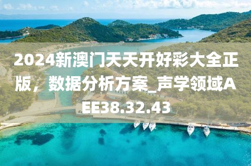 2024新澳门天天开好彩大全正版，数据分析方案_声学领域AEE38.32.43