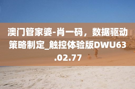澳门管家婆-肖一码，数据驱动策略制定_触控体验版DWU63.02.77