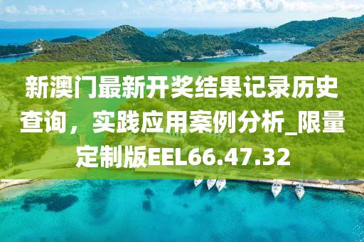 新澳门最新开奖结果记录历史查询，实践应用案例分析_限量定制版EEL66.47.32