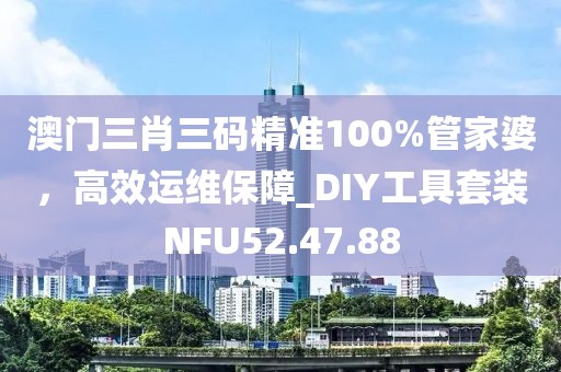 澳门三肖三码精准100%管家婆，高效运维保障_DIY工具套装NFU52.47.88