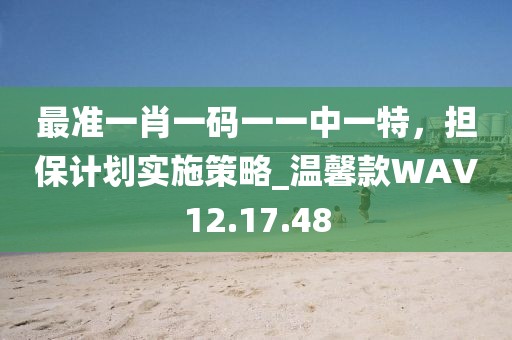 最准一肖一码一一中一特，担保计划实施策略_温馨款WAV12.17.48