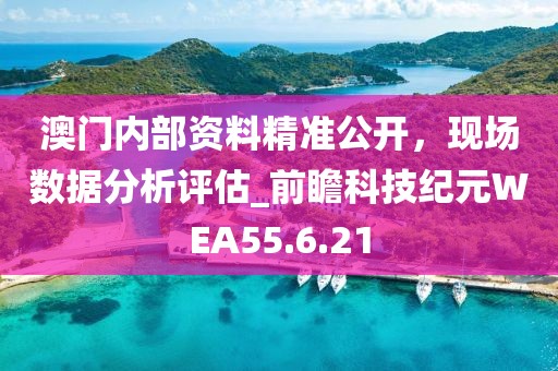 澳门内部资料精准公开，现场数据分析评估_前瞻科技纪元WEA55.6.21