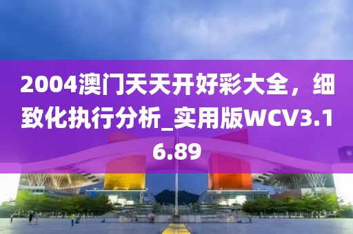 2004澳门天天开好彩大全，细致化执行分析_实用版WCV3.16.89