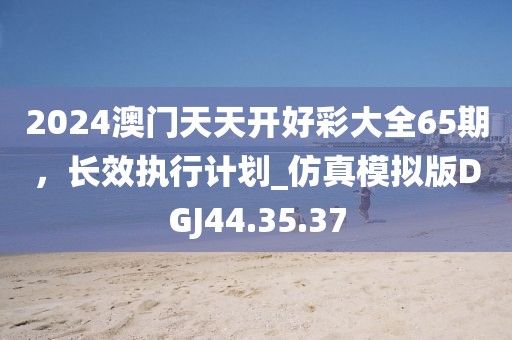 2024澳门天天开好彩大全65期，长效执行计划_仿真模拟版DGJ44.35.37