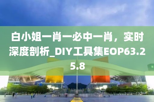 白小姐一肖一必中一肖，实时深度剖析_DIY工具集EOP63.25.8