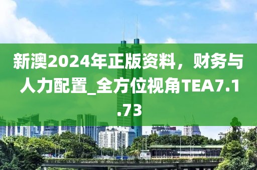 新澳2024年正版资料，财务与人力配置_全方位视角TEA7.1.73
